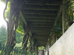-庐山风景区花径公园
