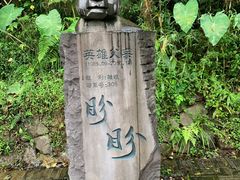 -都江堰中华大熊猫苑