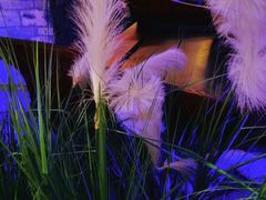 -绿茶餐厅(汇悦大融城店)