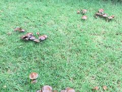 -郑州银基黄帝宫御温泉