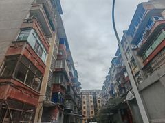 -周肥肠(江油总店)