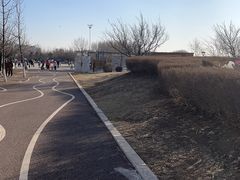 -丁香湖公园