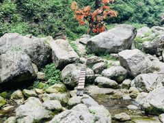 -三峡人家风景区
