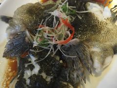 -圆苑(上海广场店)