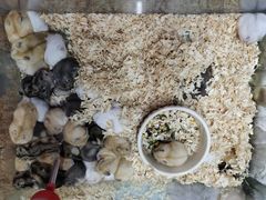 -三旗百汇商品城