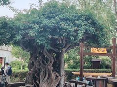 -中国翰园碑林