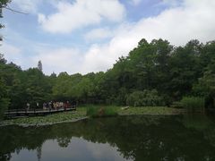 -天目湖山水园