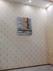 -苗医生专业祛痘·皮肤管理