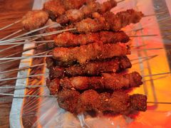 -蔡记东北烧烤油边王(丰乐路店)