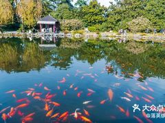 -西湖外事游船(花港观鱼码头)