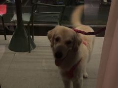 -观宴·品质赣菜(高新大道店)