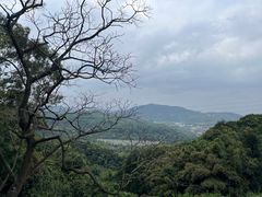 -广州市帽峰山景区