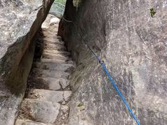 -墨尔本皇家植物园