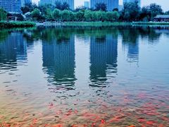 -西海子公园