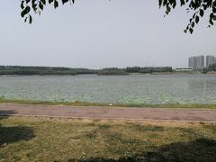 -丁香湖公园