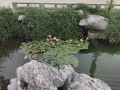-常熟方塔园