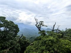 -青城山