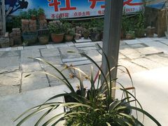 -牡丹之香饭店