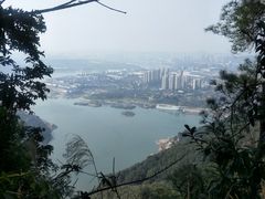 -铁山坪森林公园