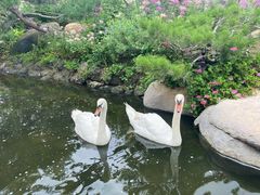 -罗红摄影艺术馆