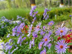 -中关村生命科学园