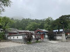 -阳台山自然风景区