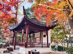 -秋霞圃