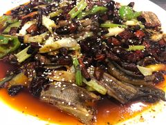 -江湖黑大兔(杨家坪店)