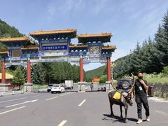 -塞罕坝国家级自然保护区