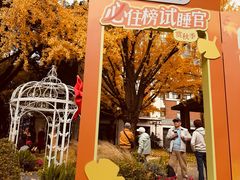 -上海瑞金洲际酒店