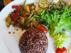 -Ohkajhu Organic Farm Sansai