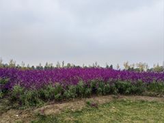 -汉长安城未央宫国家考古遗址公园