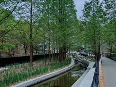 -白水寺森林公园