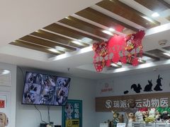 -瑞派·关忠动物医院猫科外科·异宠·24小时转诊中心(祥云店)