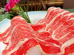 -番食园鲜食火锅(高新店)