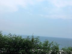 -玫瑰海岸文化旅游度假区