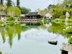 -汉庭顿图书馆