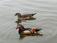 -中央广播电视塔