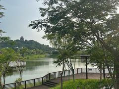 -王借岗森林公园