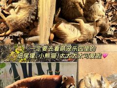 -杭州少年儿童公园