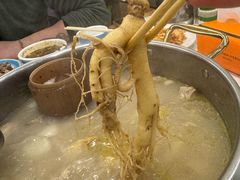 -朴小妹人参鸡汤火锅(长白山万达店)
