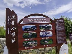 -王莽岭风景区
