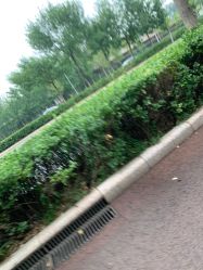 -HEYAN长风荷妍专业脱毛美肤
