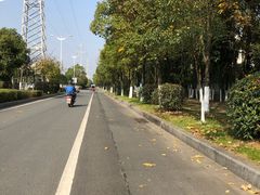 -艾溪湖湿地公园