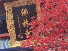 -海窝子古镇