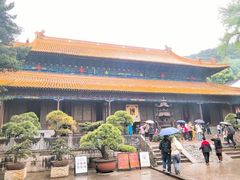 -普陀山风景名胜区-法雨禅寺