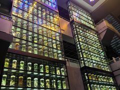 -广东中医药博物馆