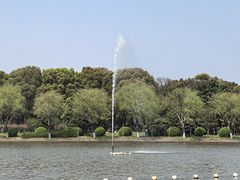 -上海鲜花港