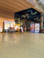 -长沙云顶星河游乐园(步步高·梅溪新天地店)