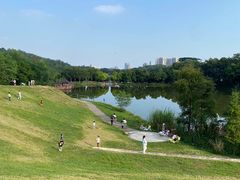 -番禺大夫山森林公园